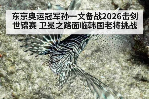东京奥运冠军孙一文备战2026击剑世锦赛 卫冕之路面临韩国老将挑战